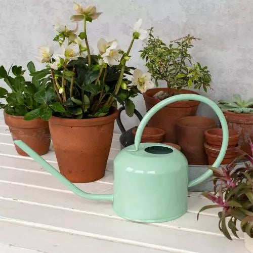 Metal Watering Can 1Ltr - Light Green