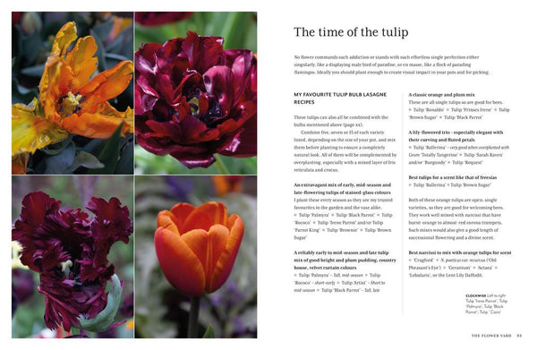 Flower Yard - Planting a Paradise/Pots and Pollinators