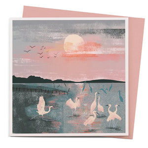 Flamingos Greeting Card