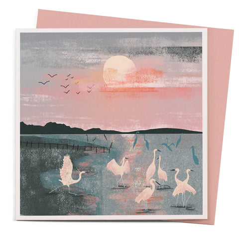 Flamingos Greeting Card