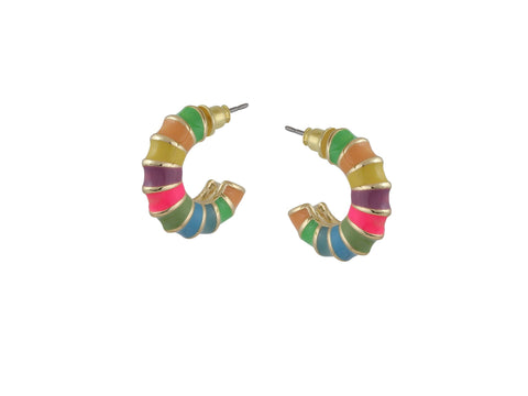 Small Multi Coloured Hoop Earrings