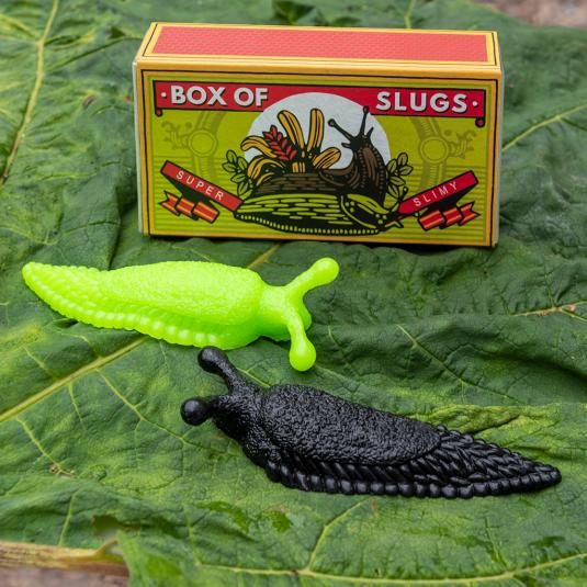 Box of Slugs - BACK BY POPULAR DEMAND!