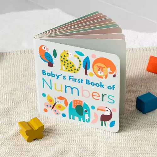 Baby's First Numbers Book