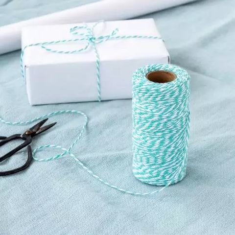 Roll of Twine (100m) - Teal and White