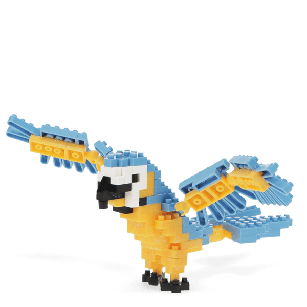 Build Your Own Dinosaur Model Brick Kit - Macaw
