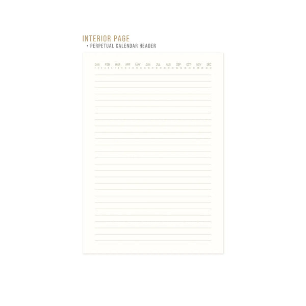 Suedette Journal - Terracotta - Radiant Rays