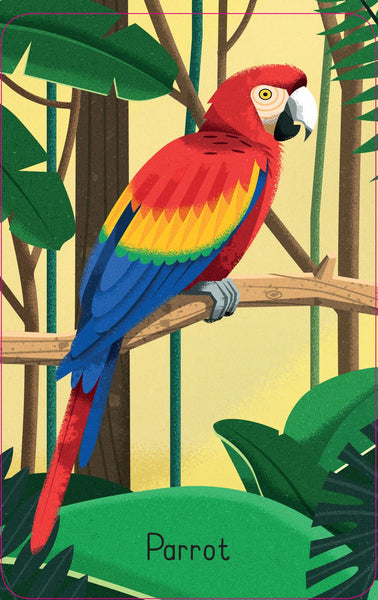 Jungle Snap Cards