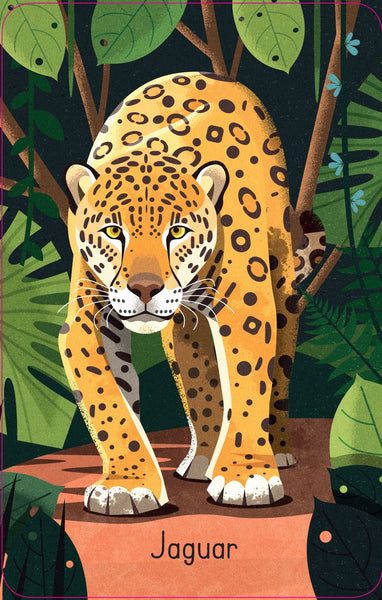 Jungle Snap Cards
