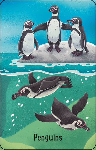 Zoo Snap Cards