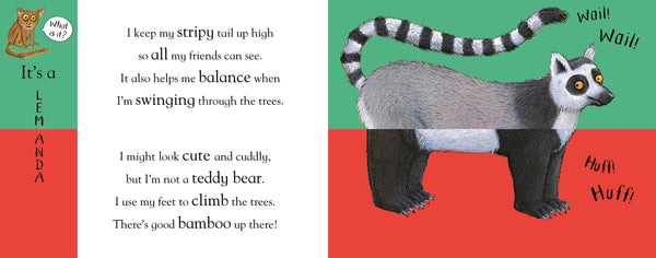 Flip Flap Zoo