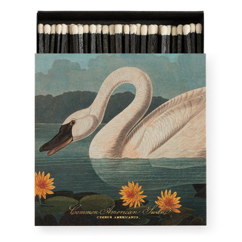 The Common American Swan Safety Matches