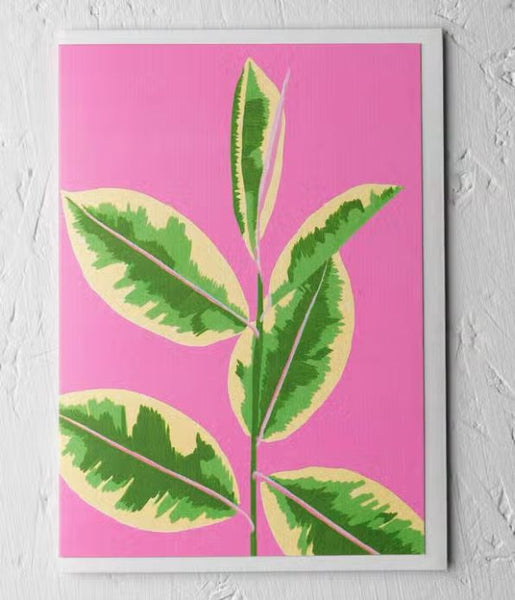 Variegated Rubber Plant Greeting Card