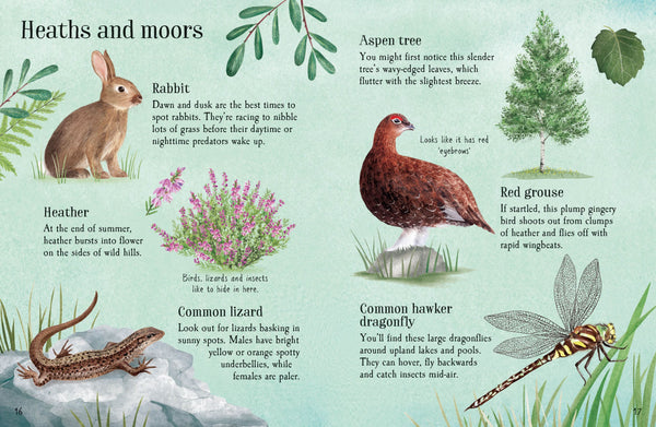 Things To Spot In Summer
