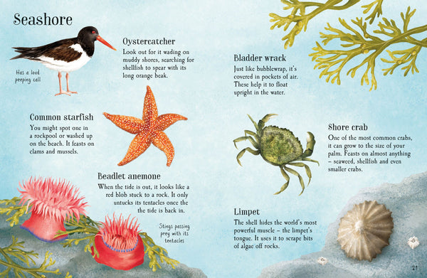 Things To Spot In Summer