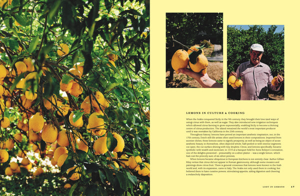 For The Love of Lemons - Italian Inspired Sweet and Savoury
