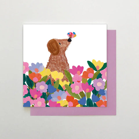 Dog with Butterfly Greeting Card
