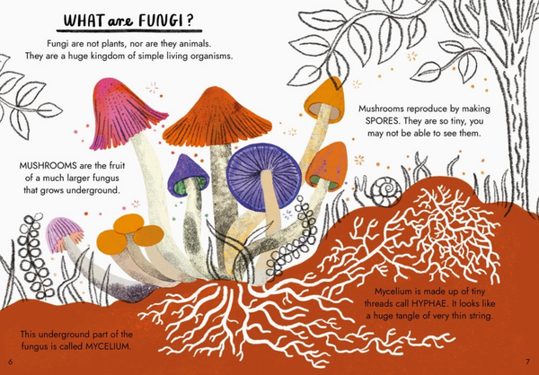 Little Guides To Nature: Hello Fungi