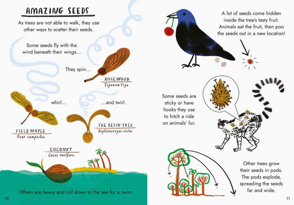 Little Guides To Nature: Hello Trees
