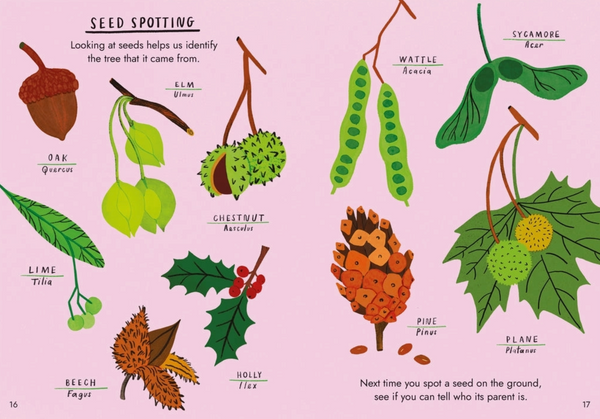 Little Guides To Nature: Hello Trees