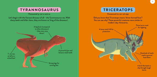My First Dinosaur Book