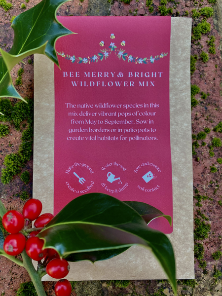 Wildflower Christmas Stocking Fillers by Kent Wildflower Seeds!