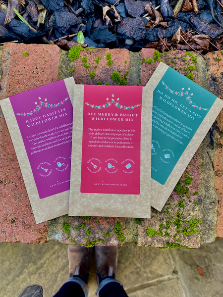 Wildflower Christmas Stocking Fillers by Kent Wildflower Seeds!