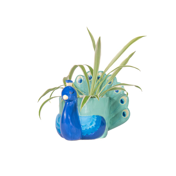 Peacock Mini Planter