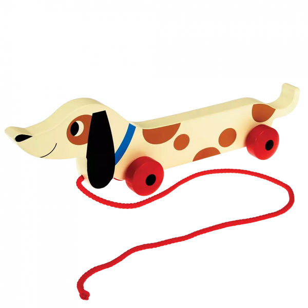 Wooden Pull Toy - Charlie the Sausage Dog