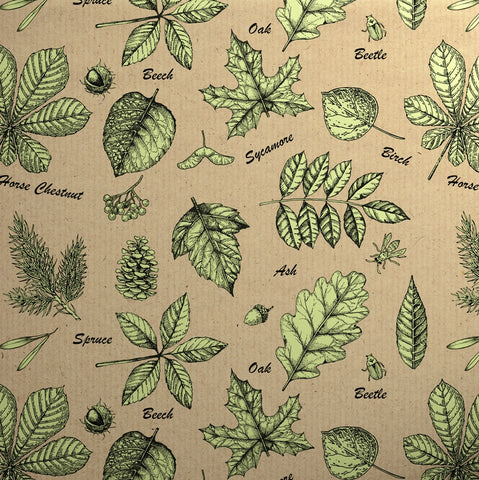 Botanical Roll 2m Wrap - 5 Styles! - IN STORE & CLICK & COLLECT ONLY