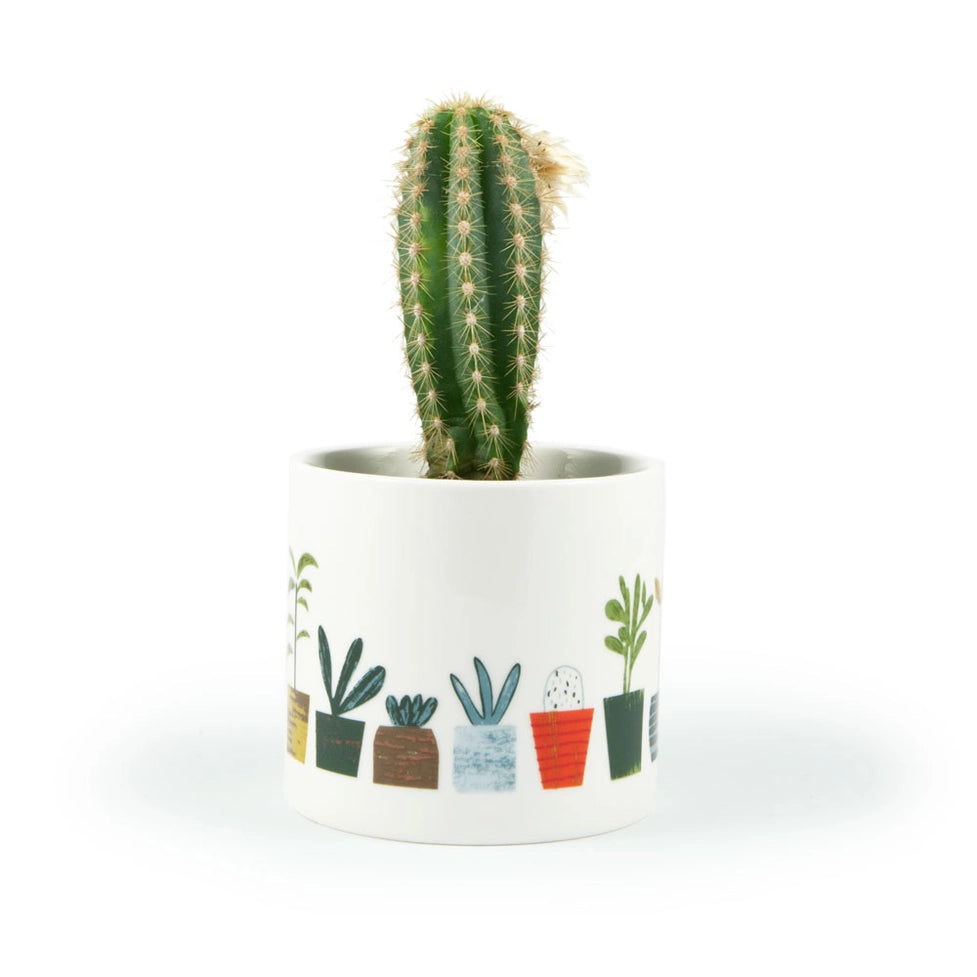 Plant Pot - Little Plants