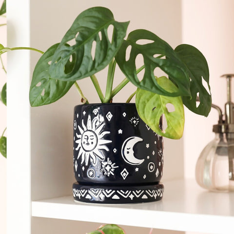 Midnight Blue Sun and Moon Planter