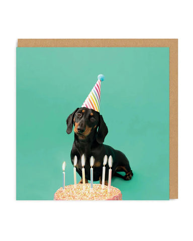 Sausage Dog Party Hat Greeting Card