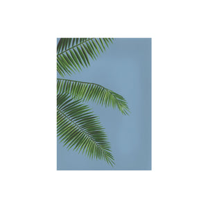 Palms on Blue Greeting Card