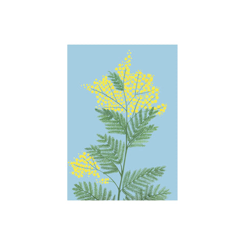Mimosa Greeting Card