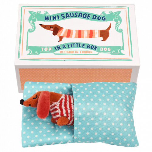 Mini Sausage Dog in a Little Box