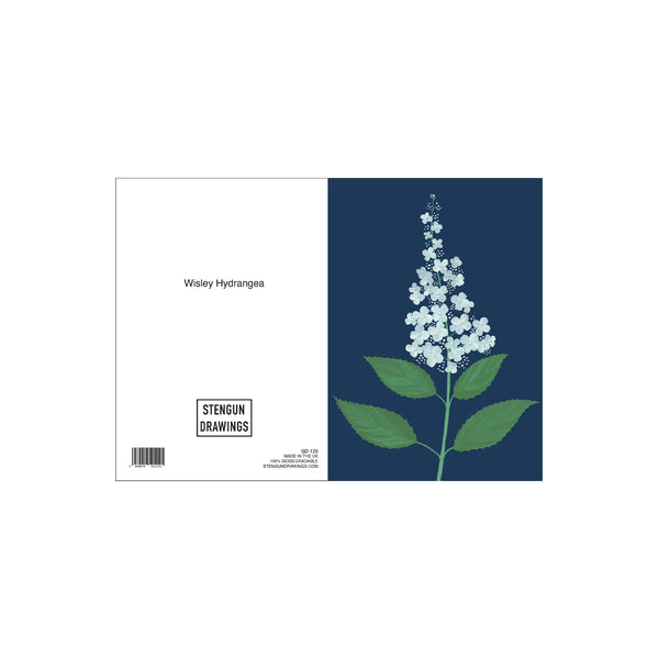 Wisley Hydrangea Greeting Card