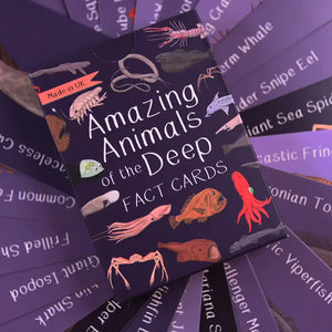 Amazing Animals of the Deep Fact Cards