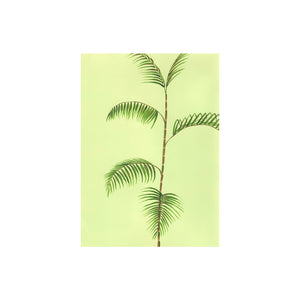 Bamboo Palm Greeting Card