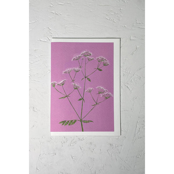 Cow Parsley Greeting Card